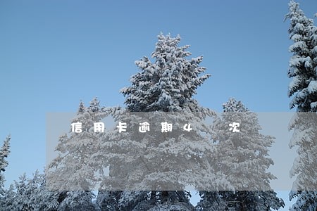 信用卡逾期4 次 信用卡逾期4 次